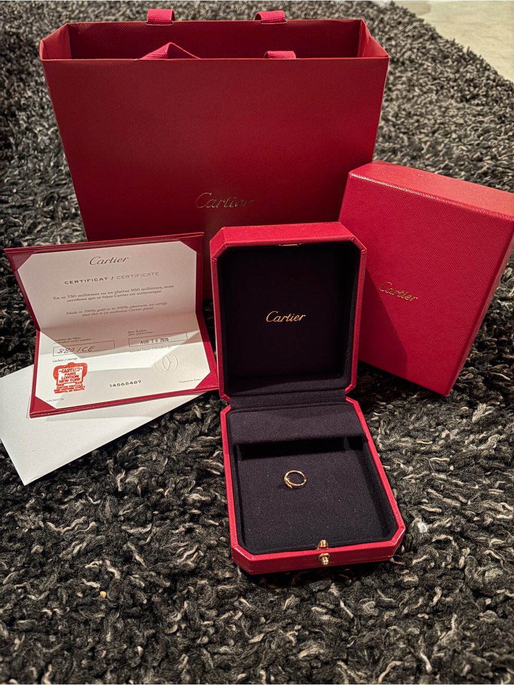 Cartier Juste un Clou Single Hoop Earring Mini Model